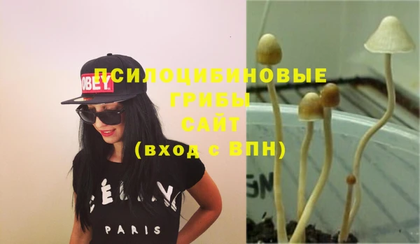 прущая мука Арсеньев