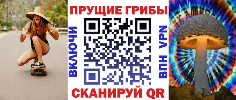 Галлюциногенные грибы ЛСД  Купить где  Суджа 